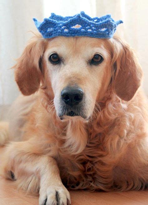 Dog Crown Pet Crown Crown For Dogs Dog Tiara Pet Tiara Dog