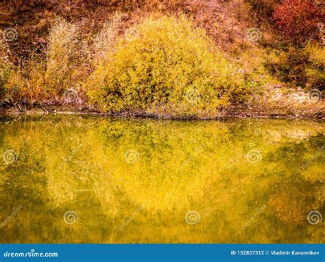 Calm Autumn Pond Stock Photo Image Of Cloudy Autumn 132857312