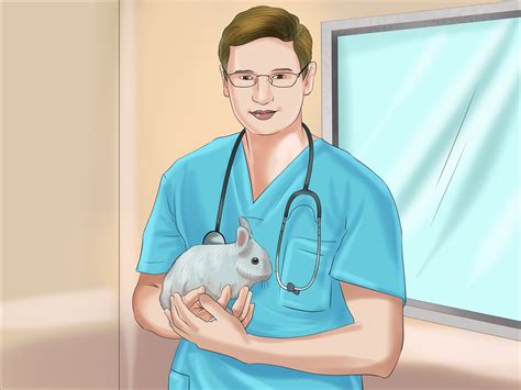 How To Determine The Sex Of A Rabbit 10 Steps With Pictures