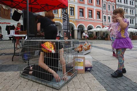 Fotogalerie Hnutí Obraz Liberec Klecový Chov Českolipský Deník