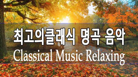 한국사람들이 좋아하는 클래식 음악모음 마음을 차분하게 하는 잔잔한 클래식모음 공부할때 듣는 음악 모음 쇼팽 명곡