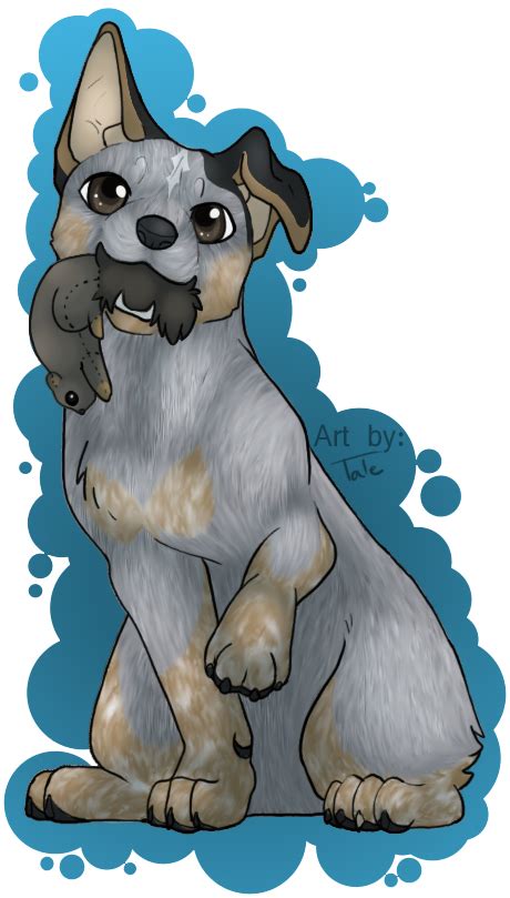 Blue Heeler Puppy Commission With Toy By Wolfstale On Deviantart