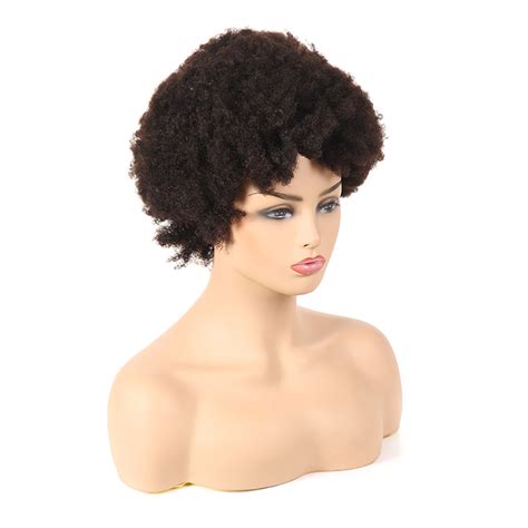 South Africa Afro Kinky Pre Plucked Real Human Hair Lace Closure Wig