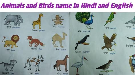 Arch Hindi Language Domestic Animals Name In Hindi And English