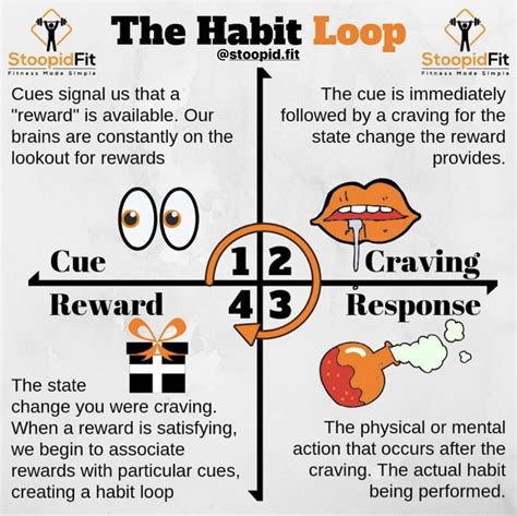 How Habits Happen Inspired By James Clear Coolguides