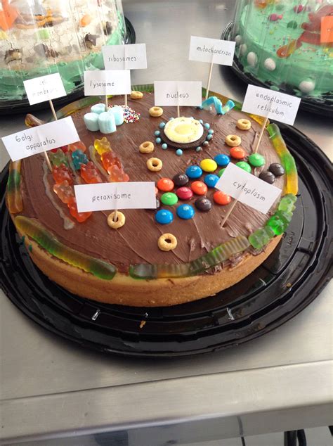In fact, the collective work of the animal cell parts is responsible for overall functioning of the cell. Cell model | Cells project, Edible cell, Edible cell project