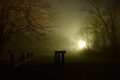 Images Gratuites Paysage Arbre Forêt Silhouette Brouillard Lever Du Soleil Nuit Lumière