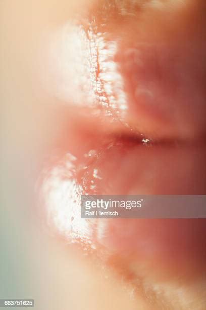 Damp Lips Photos And Premium High Res Pictures Getty Images