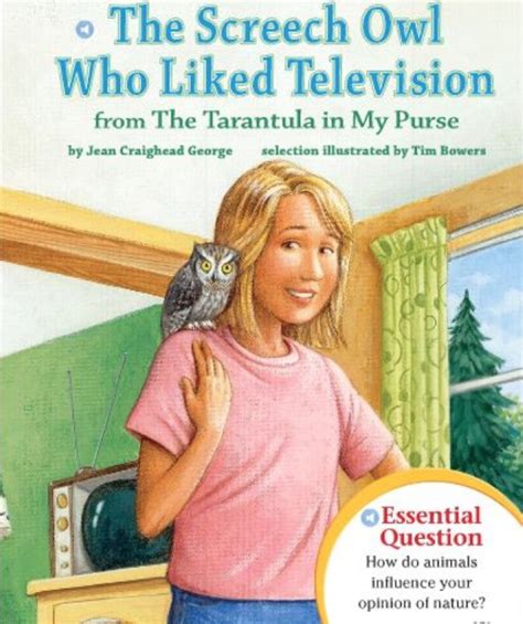 The Screech Owl Who Liked Television Hilton Hub
