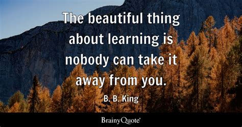 The Beautiful Thing About Learning Is Nobody Can Take It Away From You