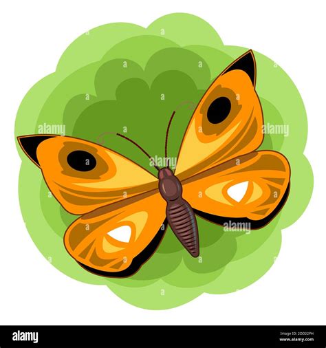 Orange Butterfly On An Abstract Green Background Bright Beautiful Composition Isolated Object