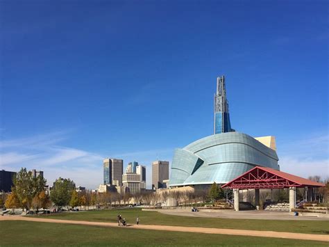 Best Trees In Pots For Privacy - Mediterranean Gardening