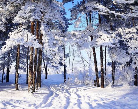 Pin By Lenka On Winter Winter Wonderland Snow Winter