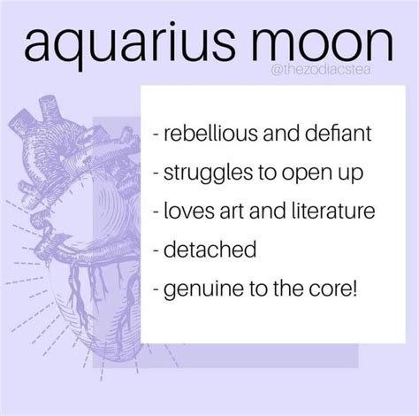 Pin On Aquarius Zodiac Facts
