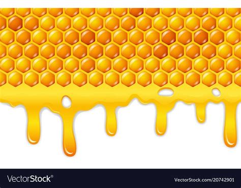 Vector Illustration Of Cartoon Honeycomb With Honey Dripping Download