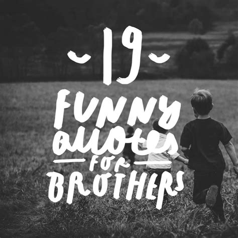 Funny Quotes 150 Rofl Worthy Quotes On Relationships Life And The World