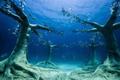 Musan First Of Its Kind Underwater Forest