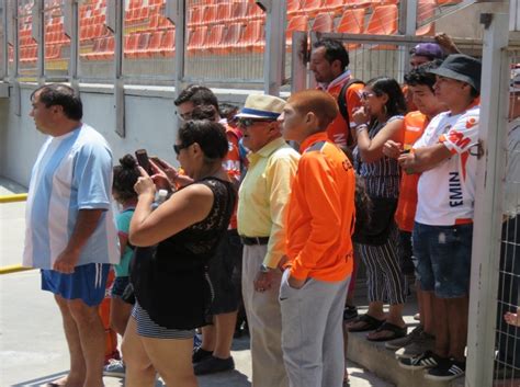 1 actualmente están representados por unas 27 especies que se encuentran en casi todos los continentes, aunque la más extendida es el zorro rojo o zorro común (vulpes vulpes), que habita en europa y américa del norte. 500 hinchas de Cobreloa recorrieron las instalaciones del ...