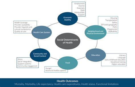 With canada's multicultural makeup comes the challenge of ensuring that diverse populations are equitably and effectively recognized in public health and health. Social Determinants of Health Issue Brief