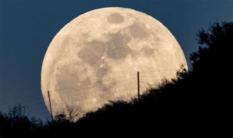 Over the moon — (informal).see ecstatic. Pink Moon 2020 meaning: Will the Full Moon turn pink ...