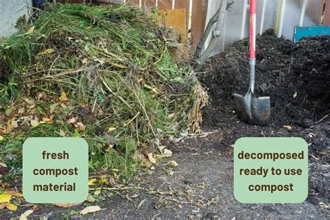 Full Guide To Composting For The Best Garden Learn To Live Small