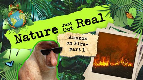 Ep 2 Amazon On Fire Part 1 Youtube