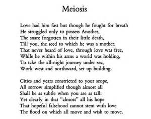 Meiosis Poems