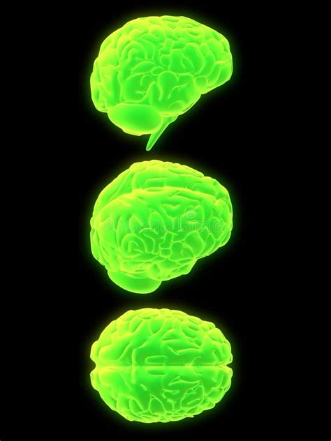Environmental Brain Button Stock Vector Illustration Of Knowledge