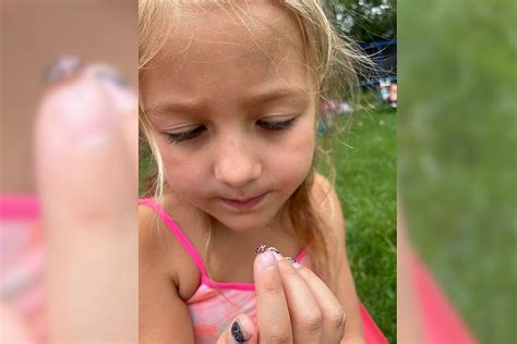 Dartmouth Girl Luckily Finds Vibrant Pink Ladybug In Backyard
