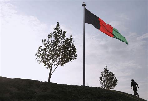 دولت افغانستان بخشي از زمين‌هاي كشت خشخاش و لابراتوارها را نابود كرده و براي جايگزين كردن كشت خشخاش تشويقي هايي براي كشاورزان در نظر گرفته است. قناة روسيا اليوم | سياسي روسي: لا مفر من سيطرة "طالبان ...