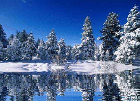 Download Nature  Snow And Landscapes Animated S Wallpaper By
