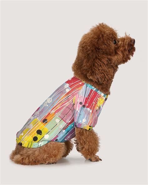 Camiseta Para Perros Ropa Para Perro Camisa De Perro Etsy España