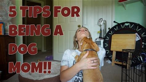 5 Tips For Being A Dog Mom Youtube