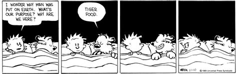 7 Moments Of Philosophical Genius In Calvin And Hobbes