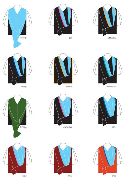 University Gown Colours Graduation Gown Masters Graduation Pictures