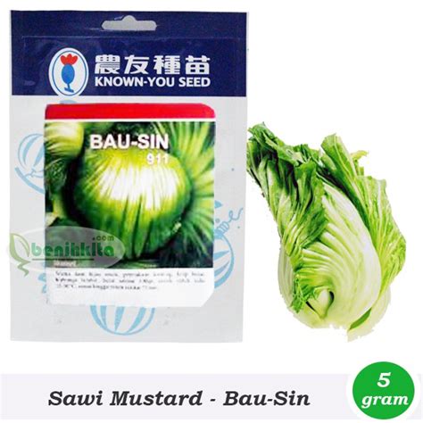 Benih/Bibit Sayuran Chinese Mustard Bausin (Known You Seed) | Shopee
