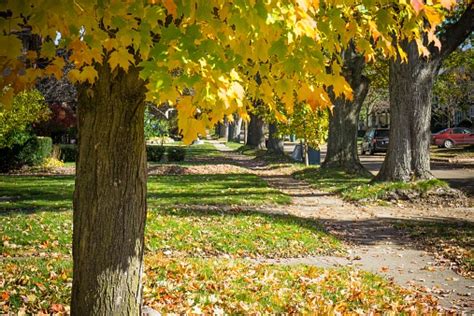 Autumn Neighborhood Stock Photo Download Image Now Istock