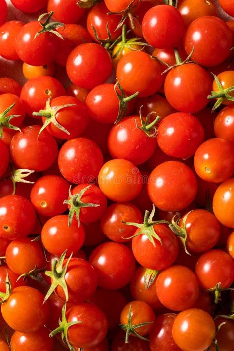 Raw Organic Heirloom Cherry Tomatoes Stock Image Image Of Produce