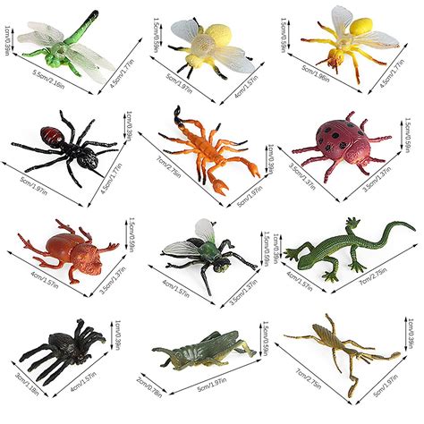 Simulation Insect Model 12 Sets Of Childrens Science And Education