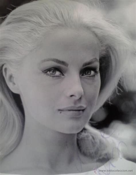 Virna Lisi Classic Actresses Hollywood Actresses Beautiful Actresses Old Hollywood Glamour