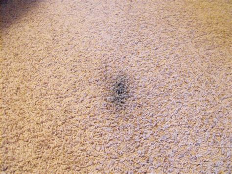 These steps are recommended to remove ink from natural fibers such as cotton and wool. The Martin Family: How to get INK out of Carpet