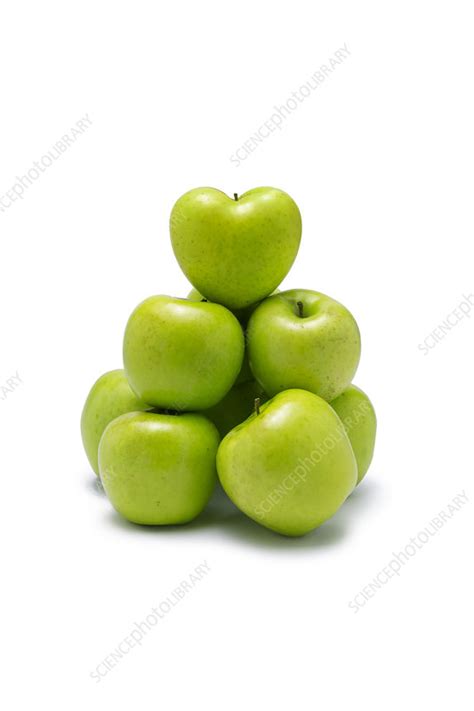 Green Apples Stock Image F0344143 Science Photo Library