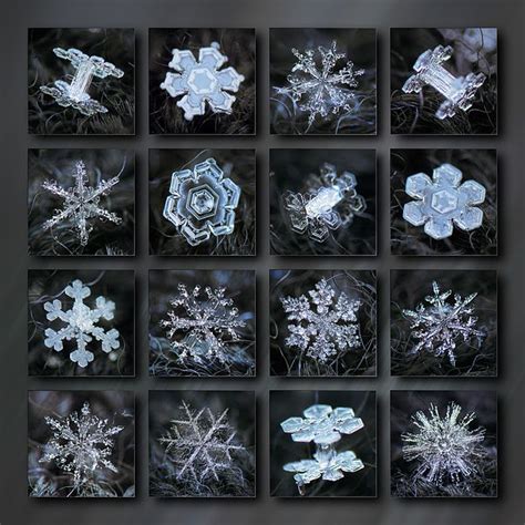Dark Snowflake Collage Winter 2020 21 By Alexey Kljatov Snowflakes