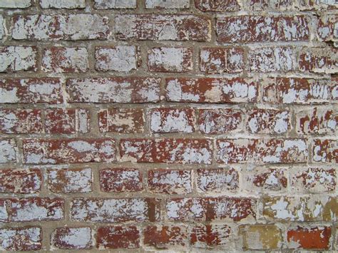 Free Picture Painted Red Brick Wall