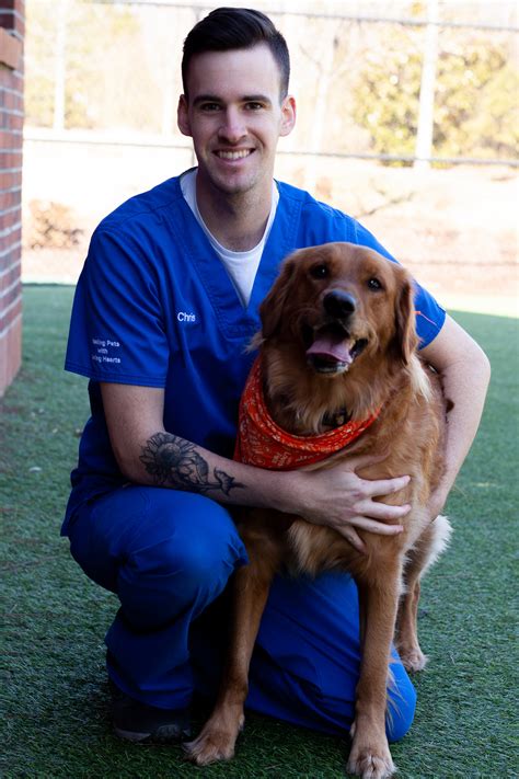 Treats can be a simple addition to any. Meet Our Vet Team | Complete Pet Care Animal Hospital