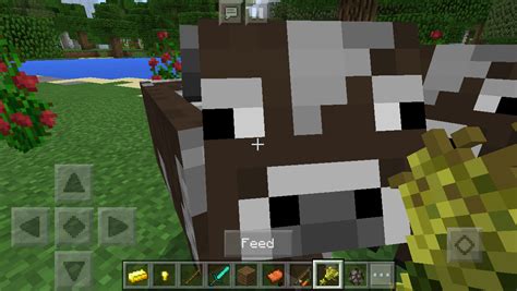 Better Cows Addon Mcpe Minecraft Mod
