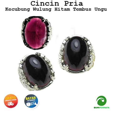 We did not find results for: Batu Cincin Akik Kecubung Wulung Hitam Tembus Warna Ungu