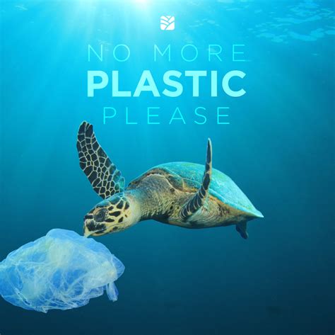 Albums 102 Pictures Plastic In The Ocean Images Stunning