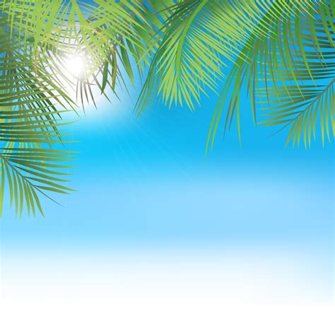 Unique Palm Vector Background Vector Background Summer Background With