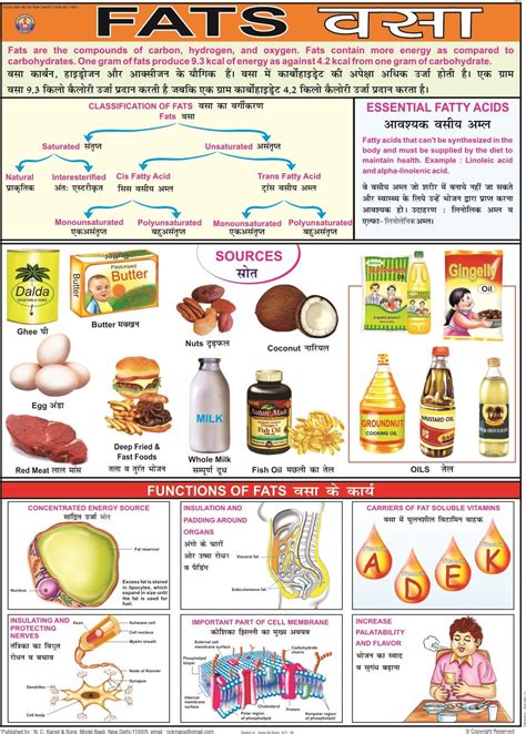 Color Food Chart Nutrition